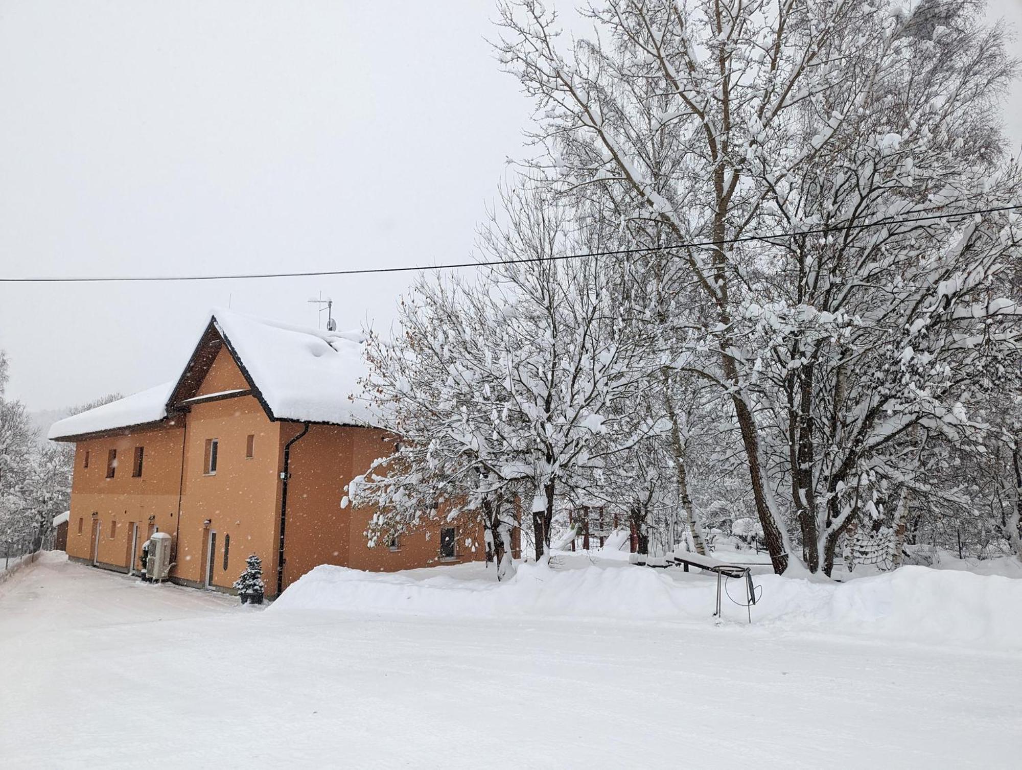 Apartments Nad Rybniky Horní Planá Eksteriør bilde